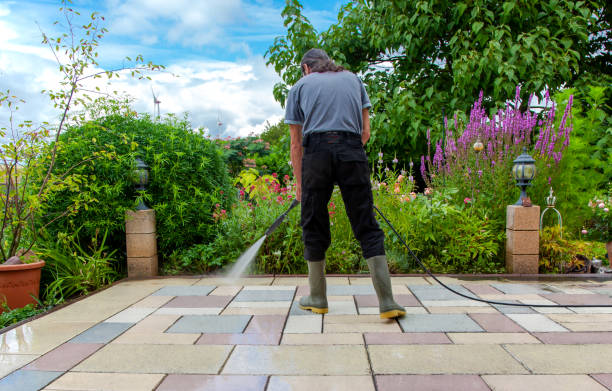 Best Patio and Deck Pressure Washing  in Orange City, IA