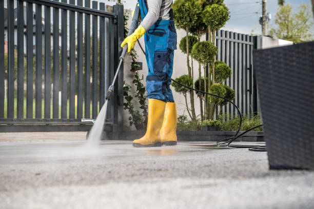 Best Roof Washing  in Orange City, IA